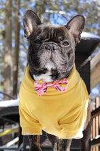 Load image into Gallery viewer, Double Bow Tie - Bananas for You