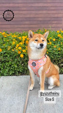 Load image into Gallery viewer, Adjustable Harness - Born to Sparkle