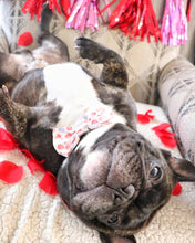 Load image into Gallery viewer, Double Bow Tie - Fur-Ever Love