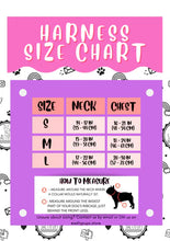 Load image into Gallery viewer, Adjustable Harness - Mint to Be