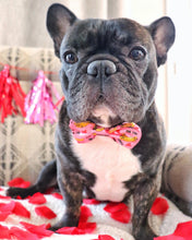 Load image into Gallery viewer, Double Bow Tie - Bananas for You