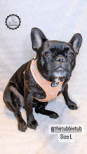 Load image into Gallery viewer, Adjustable Harness - Born to Sparkle