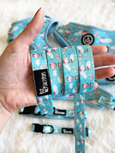 Load image into Gallery viewer, Leash - Sky Adventure