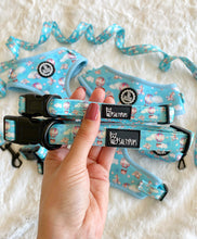 Load image into Gallery viewer, Collar - Sky Adventure