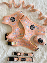 Load image into Gallery viewer, Adjustable Harness - Born to Sparkle
