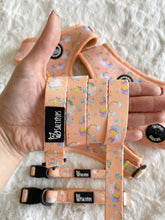 Load image into Gallery viewer, Leash - Born to Sparkle