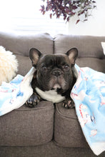 Load image into Gallery viewer, Dog Blanket - Sky Adventure
