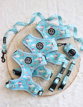 Load image into Gallery viewer, Adjustable Harness - Sky Adventure