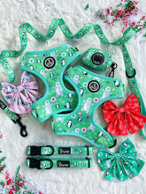 Load image into Gallery viewer, Adjustable Harness - Mint to Be