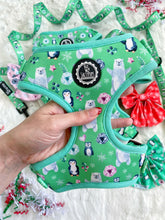 Load image into Gallery viewer, Adjustable Harness - Mint to Be