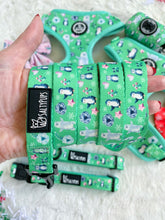 Load image into Gallery viewer, Leash - Mint to Be