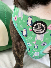 Load image into Gallery viewer, Adjustable Harness - Mint to Be