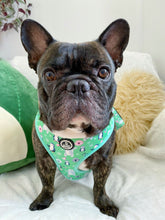 Load image into Gallery viewer, Adjustable Harness - Mint to Be