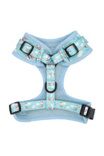Load image into Gallery viewer, Adjustable Harness - Sky Adventure