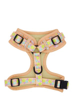 Load image into Gallery viewer, Adjustable Harness - Born to Sparkle