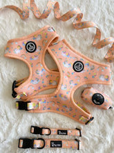 Load image into Gallery viewer, Adjustable Harness - Born to Sparkle
