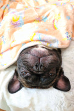 Load image into Gallery viewer, Dog Blanket - Born to Sparkle
